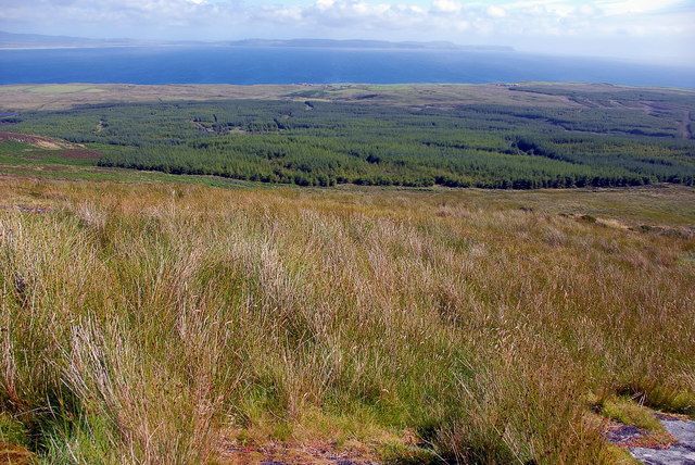 File:Beinn Tart A' Mhill summit.jpg