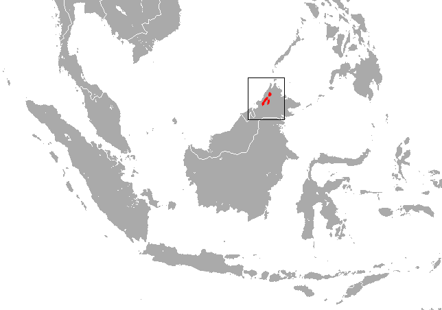 File:Bornean Water Shrew area.png