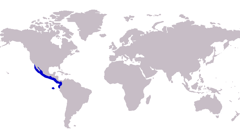 File:Caranx caninus distribution.png