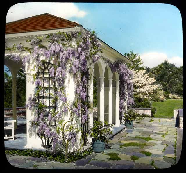 File:Davis Garden, 1930.jpg