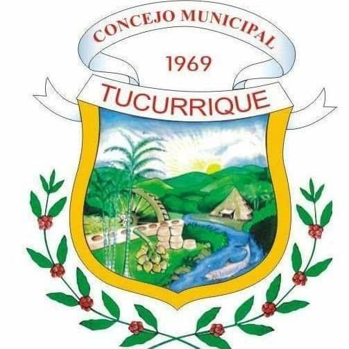 File:Escudo municipal de Tucurrique.jpg