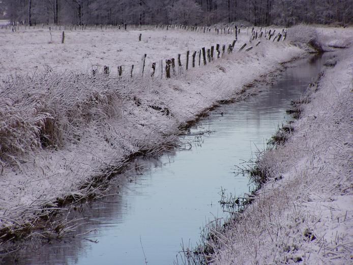 File:Hahnenknoop-Hetthorner-Moorkanal.jpg