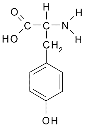 File:L-Tyrosine.png