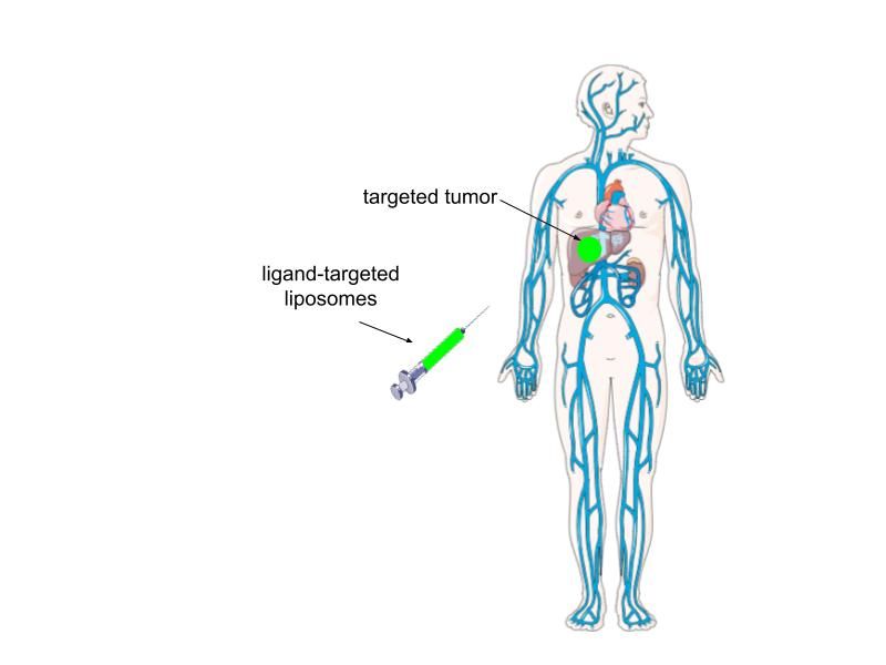 File:Ligand use for imaging.jpg