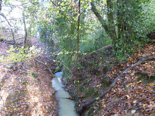 File:Netherside Stream Outcrops 3.jpg