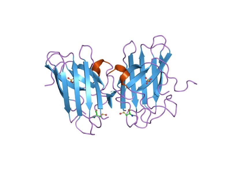 File:PDB 1ozu EBI.jpg