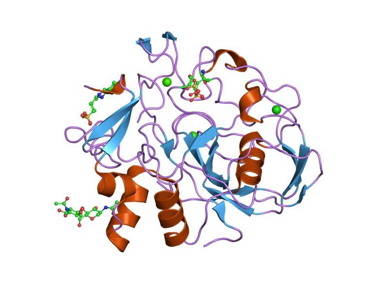 File:PDB 1z70 EBI.jpg