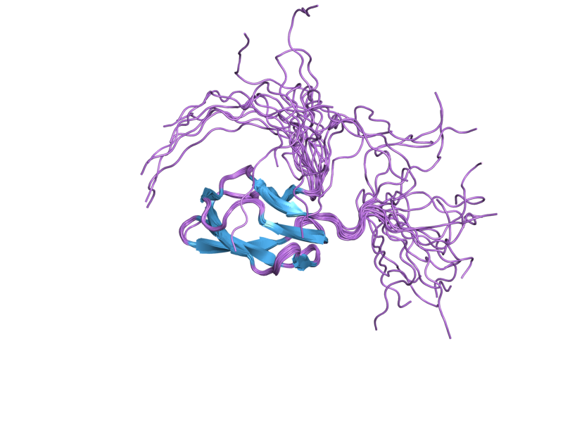 File:PDB 2dn8 EBI.png