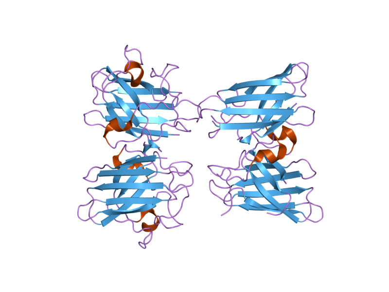 File:PDB 2gbt EBI.png