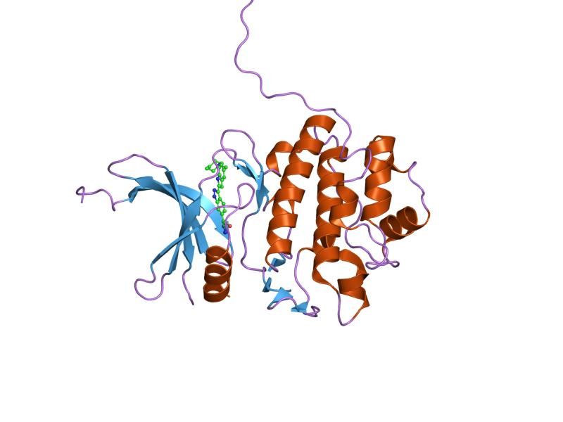 File:PDB 2hog EBI.jpg