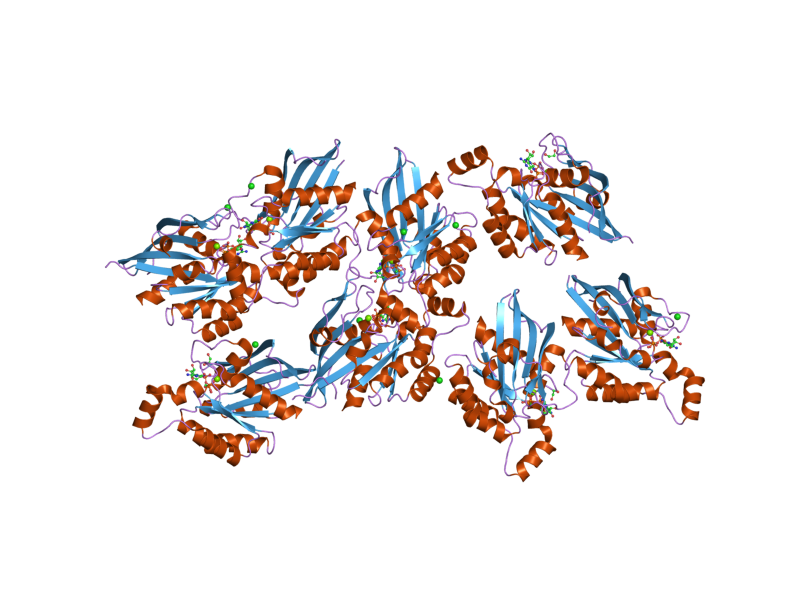 File:PDB 2ov2 EBI.png