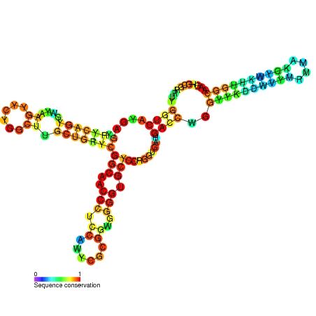 File:SAM-IV secondary structure.jpg