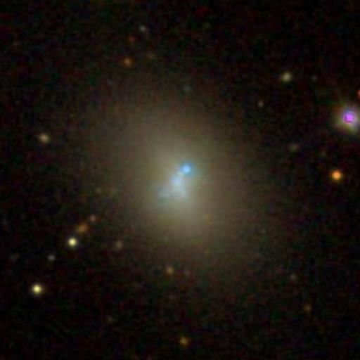 File:SDSS NGC 7077.jpg