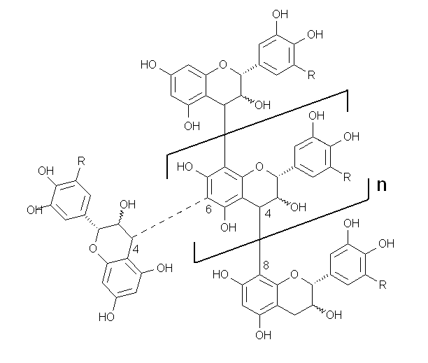 File:Schematic condensed tannins.PNG