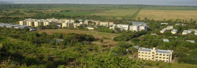 File:Skyline view of AMU1.jpg