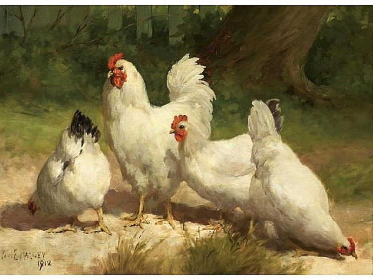 File:1912-Chickens-Paul.E.Harney.Jr.jpg