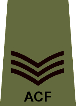 File:ACF Adult Rank Slide SI.png