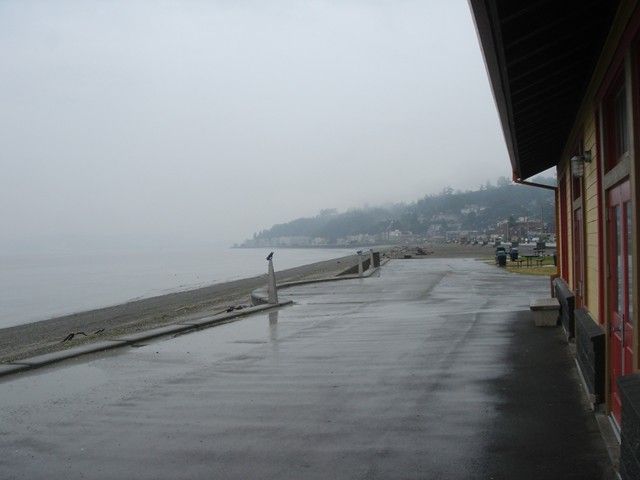 File:Alki beach-July.jpg