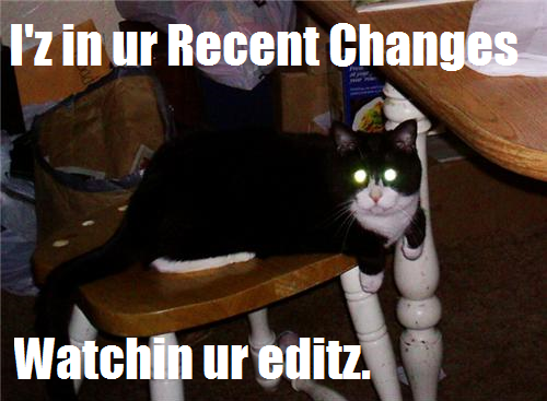 File:Lolcat watching RC.png