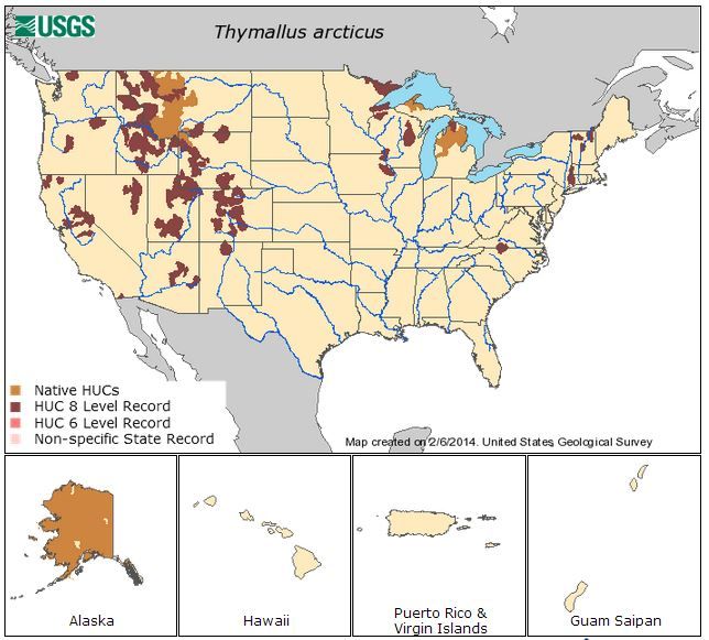 File:NativeandIntroducedRangeThymallusarcticus-USGS.JPG