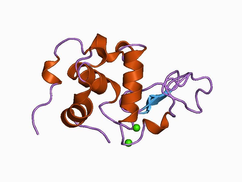 File:PDB 1a4v EBI.jpg