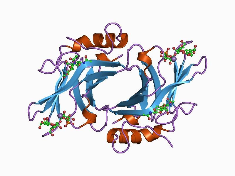 File:PDB 1c39 EBI.jpg