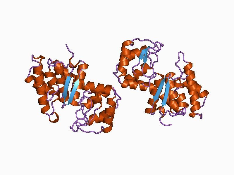 File:PDB 1chk EBI.jpg