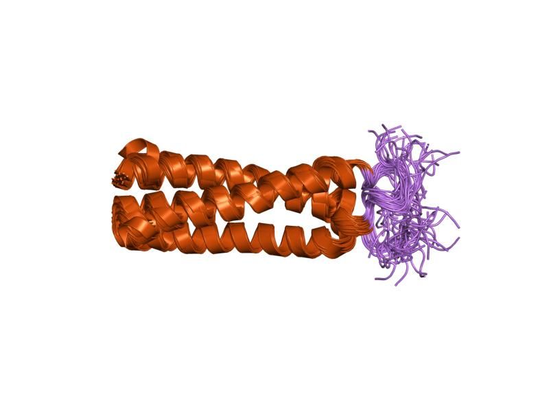 File:PDB 1m7l EBI.jpg