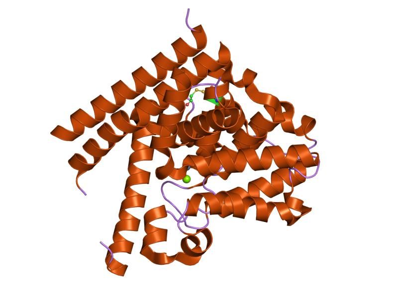 File:PDB 1taz EBI.jpg