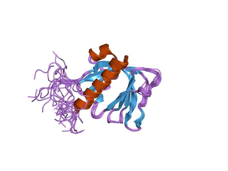 File:PDB 1wjm EBI.jpg