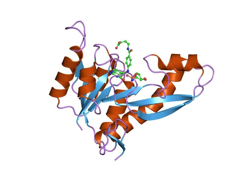 File:PDB 1zly EBI.jpg