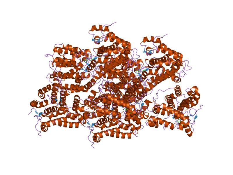 File:PDB 2hv7 EBI.jpg