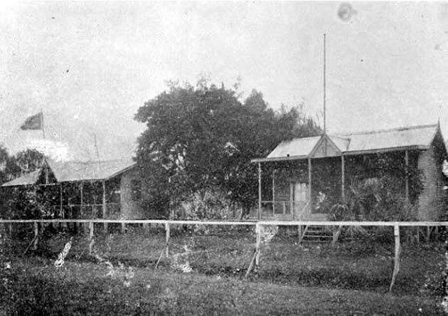 File:Tigre cancha lechero.jpg