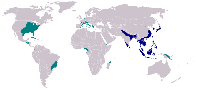 File:Albopictus distribution 2007.png