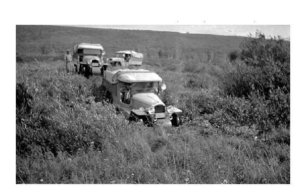 File:Bedaux half-trucks in Peace River Country.png