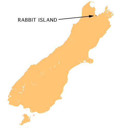 File:NZ-Rabbit I.png