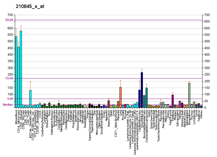 File:PBB GE PLAUR 210845 s at fs.png