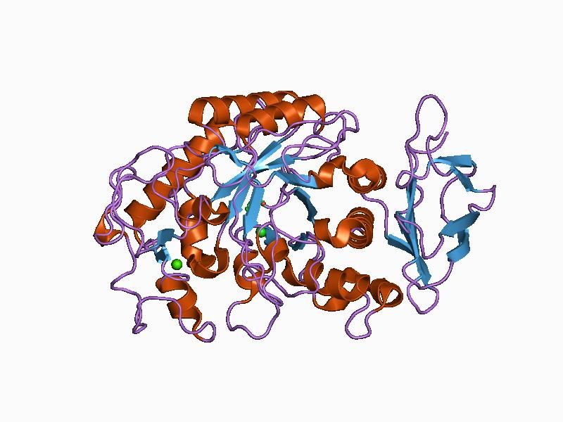 File:PDB 1c8q EBI.jpg