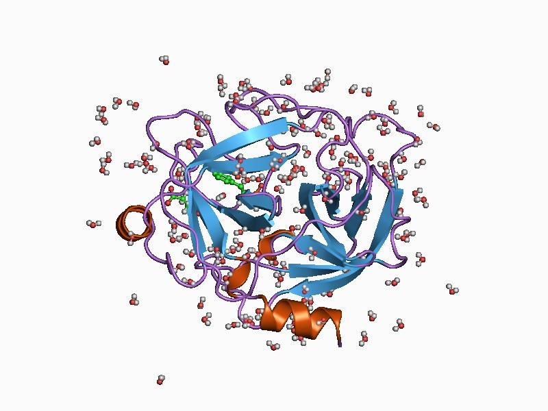 File:PDB 1cgh EBI.jpg