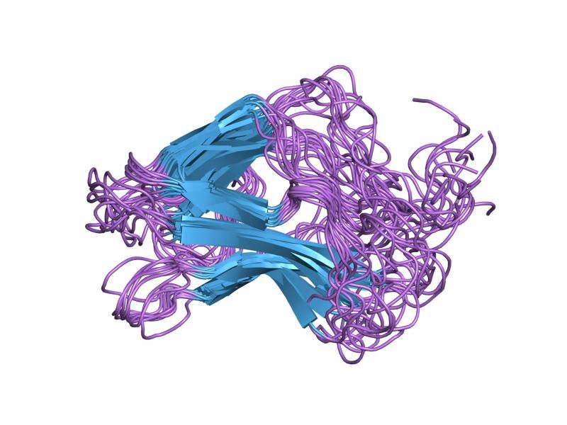 File:PDB 1co1 EBI.jpg