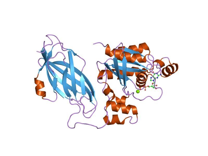 File:PDB 1ds6 EBI.jpg