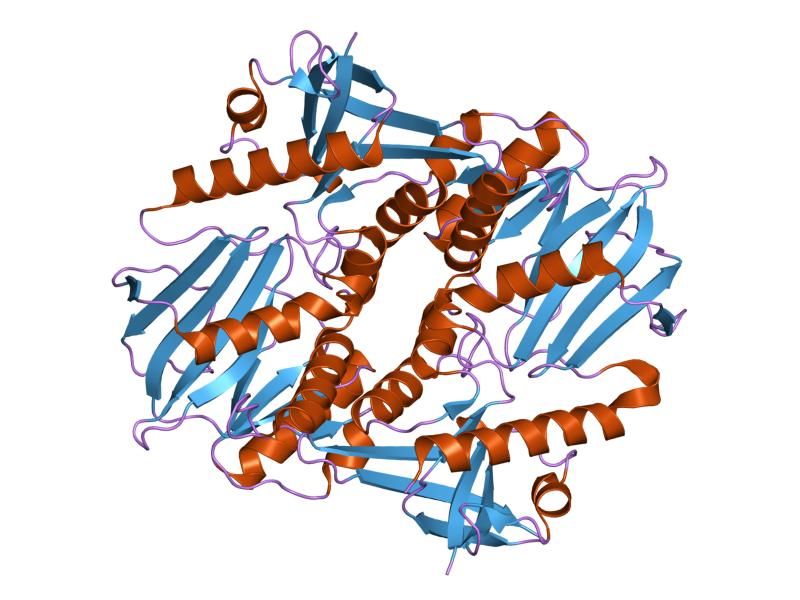 File:PDB 1i7n EBI.jpg