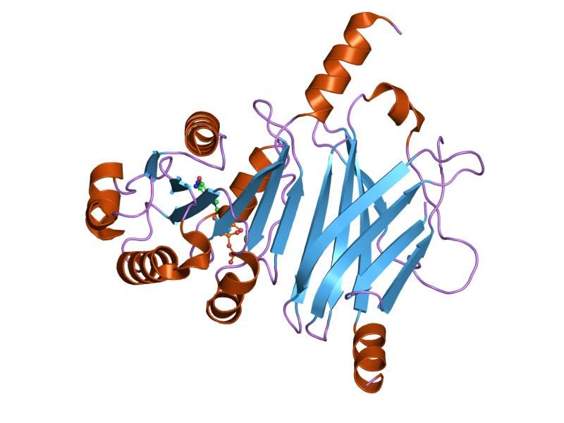 File:PDB 1ksg EBI.jpg