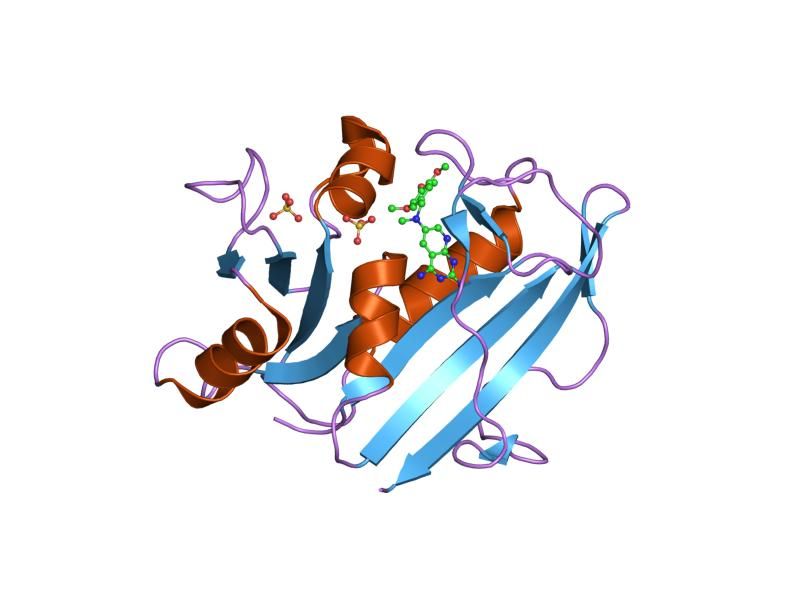 File:PDB 1mvs EBI.jpg