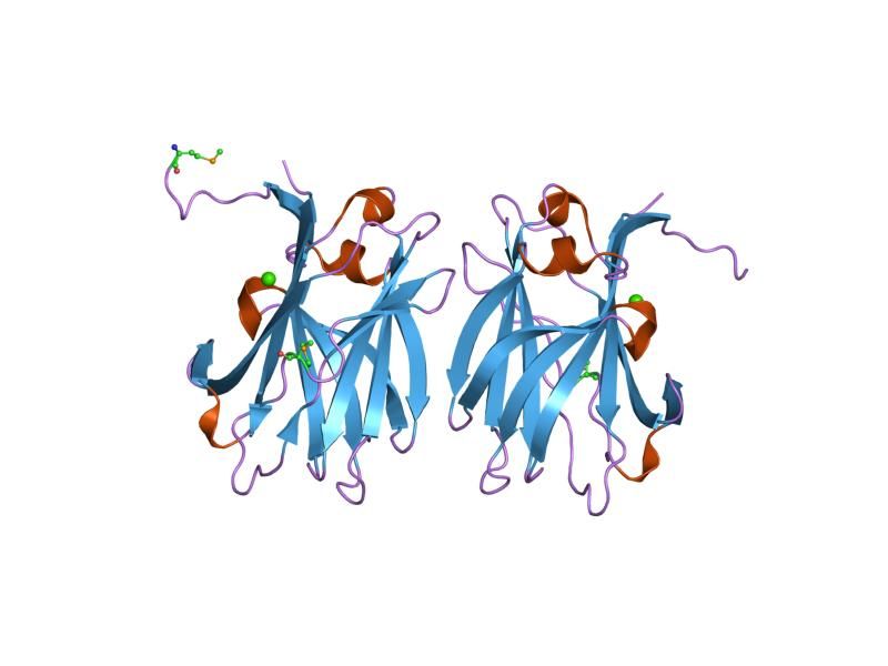 File:PDB 1of3 EBI.jpg