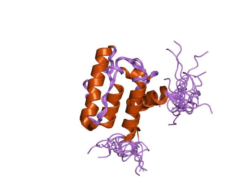 File:PDB 1v5k EBI.jpg