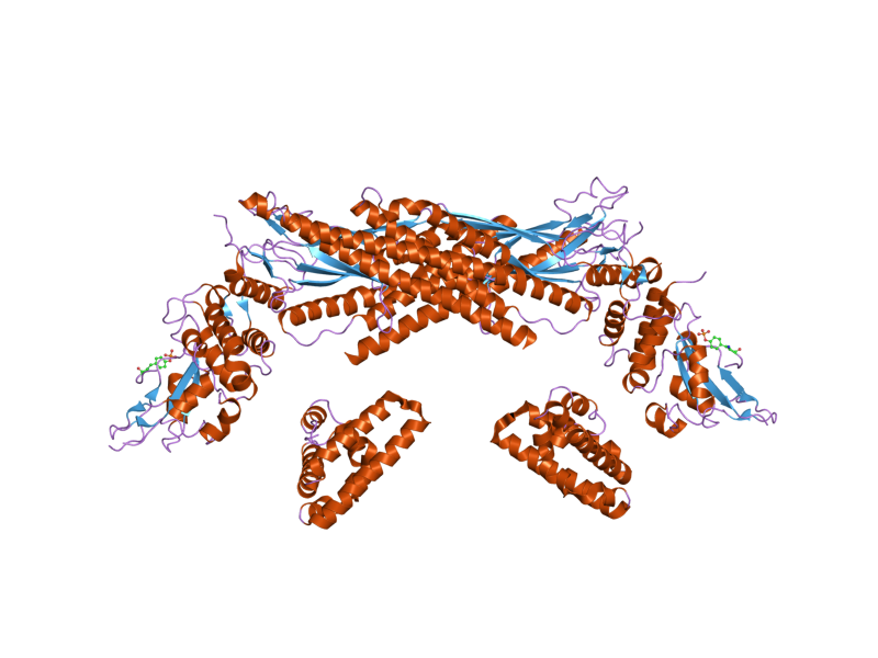 File:PDB 1yvl EBI.png