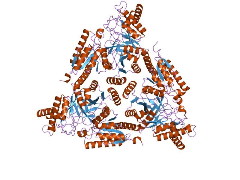 File:PDB 2ajt EBI.jpg