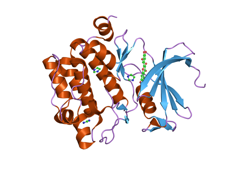 File:PDB 2o63 EBI.png