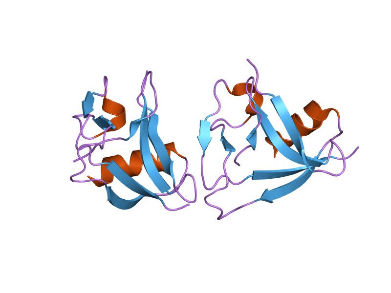 File:PDB 2ott EBI.png